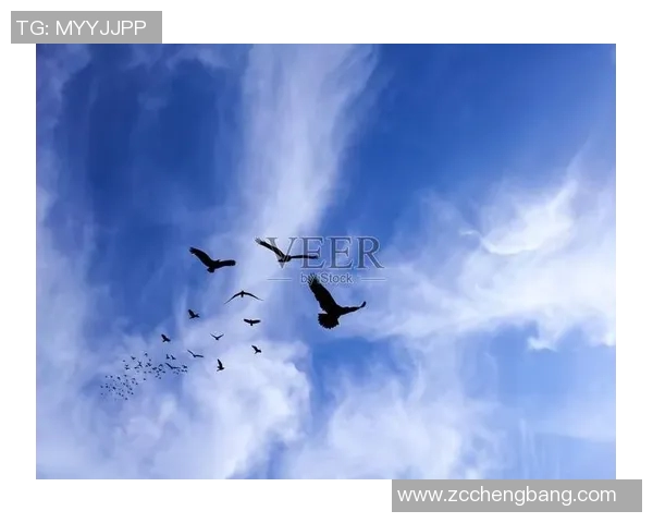 德州人勇斗乌鸦的传奇故事与生存智慧的较量