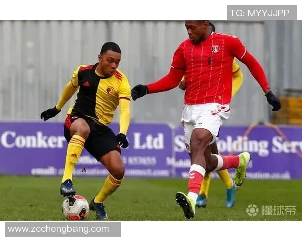 沃特福德对阵皮尔森赛事分析与推荐策略详解 沃特福德对阵皮尔森赛事分析与推荐策略详解