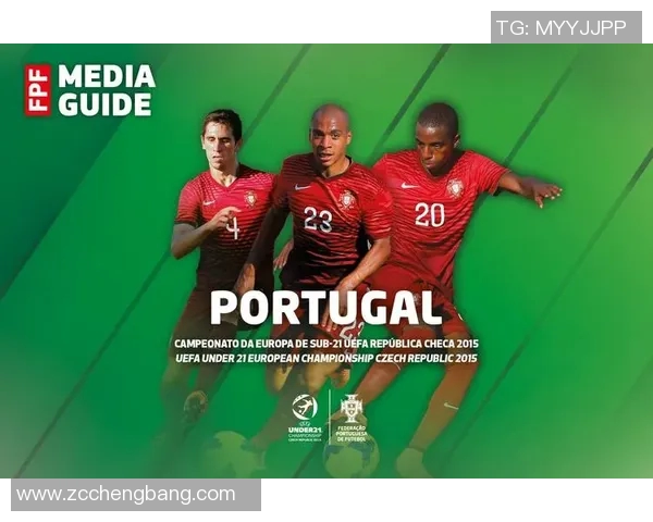 葡萄牙与马其顿的回收策略对比及其环境影响分析